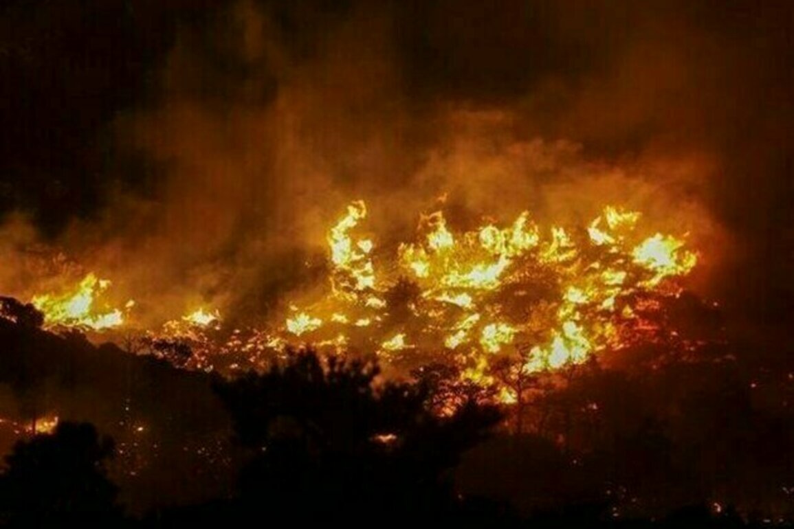 Greece Gets EU Help to Battle Disastrous Wildfires