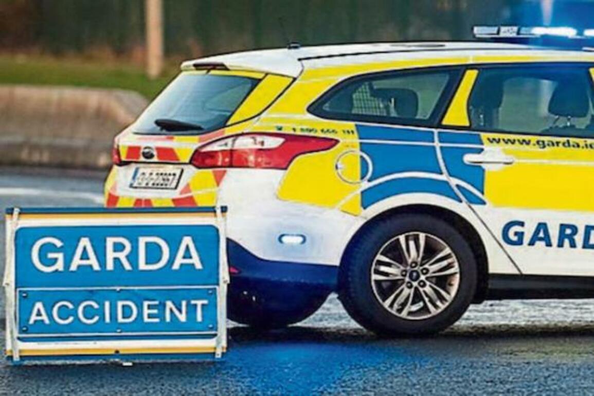 Pedal cyclist dies after colliding with van on N25