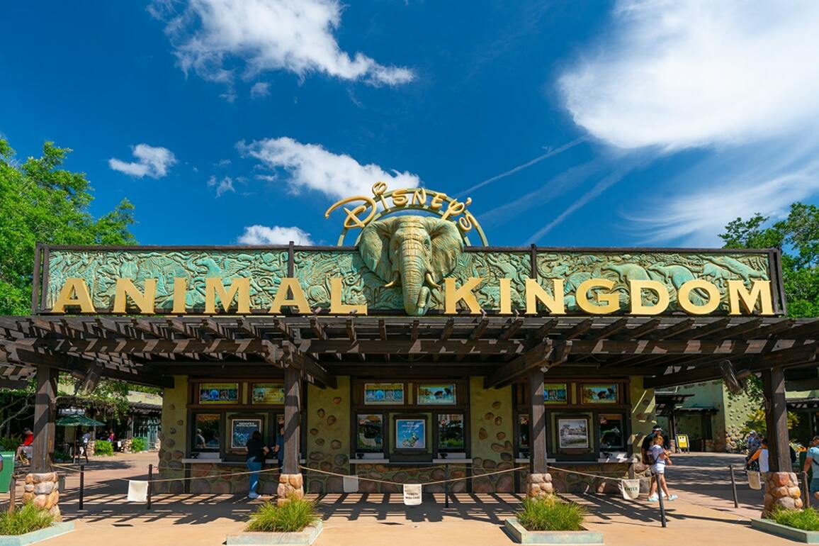 Disney's Animal Kingdom welcomes newest mammal of its type in years