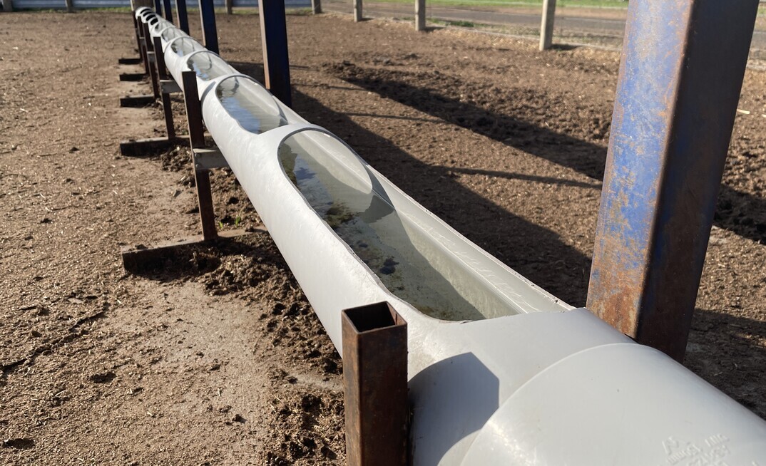 Water availability and quality is vital for livestock after a fire, especially if stock are contained.