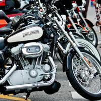 Harley targets younger riders with affordable motorcycle lineup
