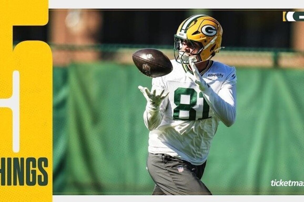 5 things to know about Packers TE Josh Whyle