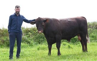 Alternative approach to dairying works for Pembrokeshire farm