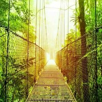 Going on holiday? Here's how to make sure your trip is sustainable