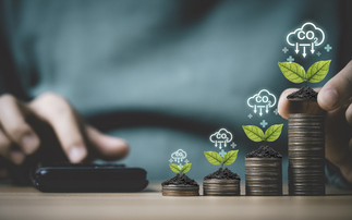 State of Carbon Credits 2025: Market passes $1bn as higher prices offset falling volumes