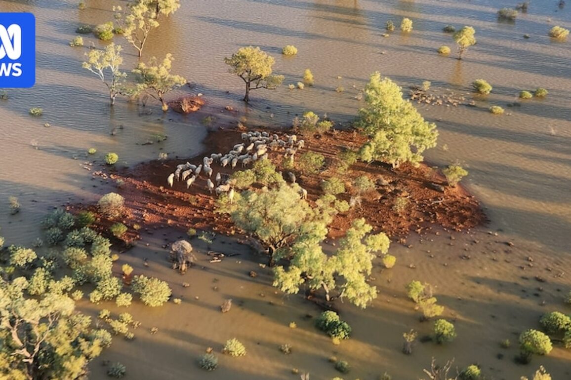Rain forecast accuracy in the spotlight as Queensland reels from more flooding