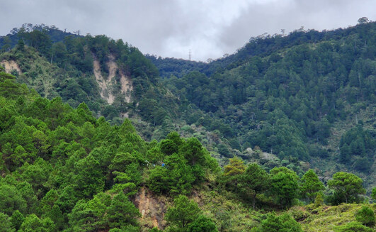 Celsius hails hot Philippines copper-gold operation