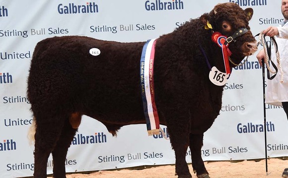 Stirling Salers sell to 6,000gns