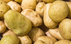 How a new research collaboration is aiming to reduce potato bruising and waste