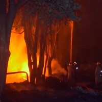 Delhi: Major fire breaks out in Tikri Kalan Industrial Area, rescue ops underway