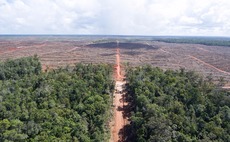 Government seeks views on plans to stamp out supply chain deforestation