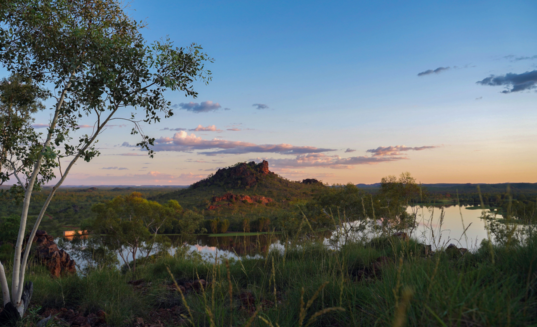 TNC to return to the CCP.