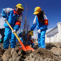 China's highest city sets new green milestones