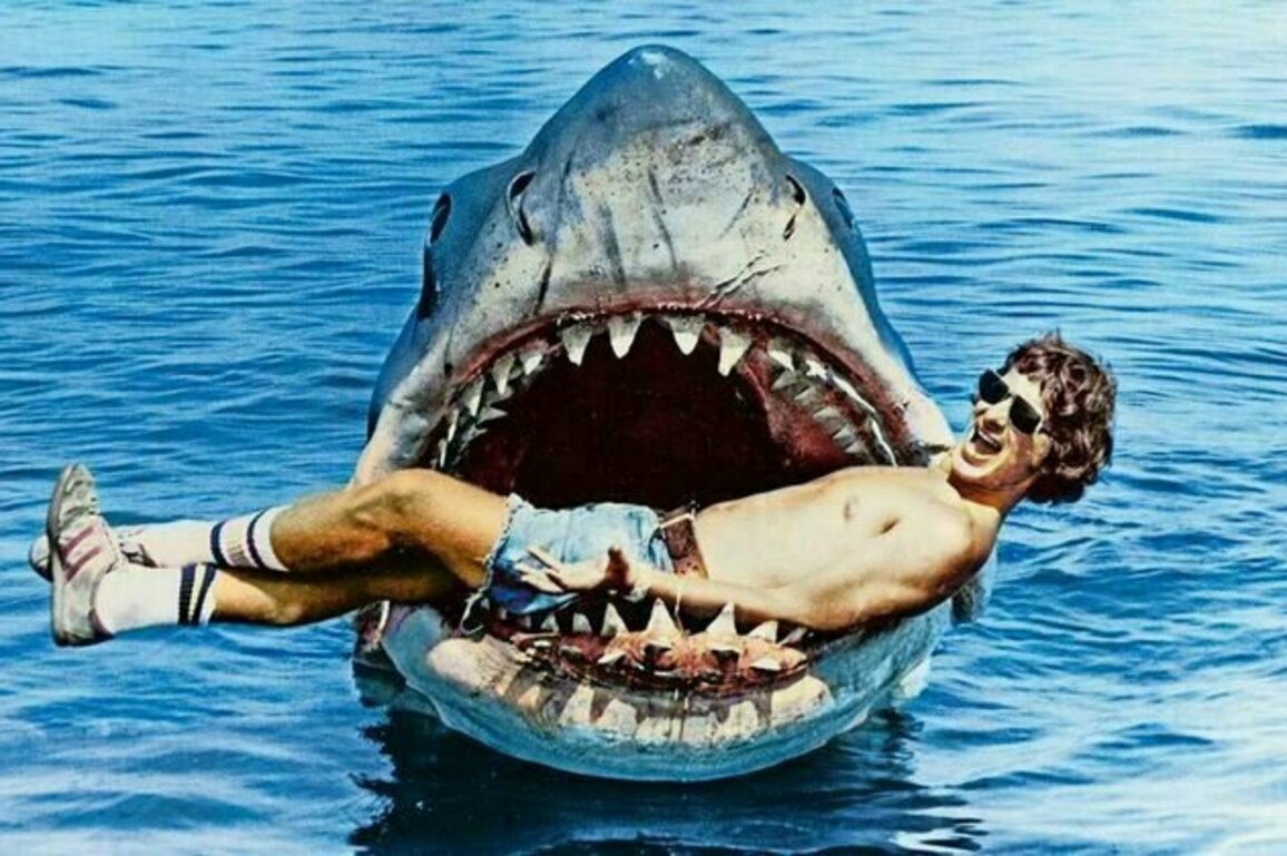 Jaws at 50: the Jewish sensibility that shaped Spielberg's blockbuster and transformed cinema