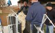 Research Report: Sheep Handlers 2015