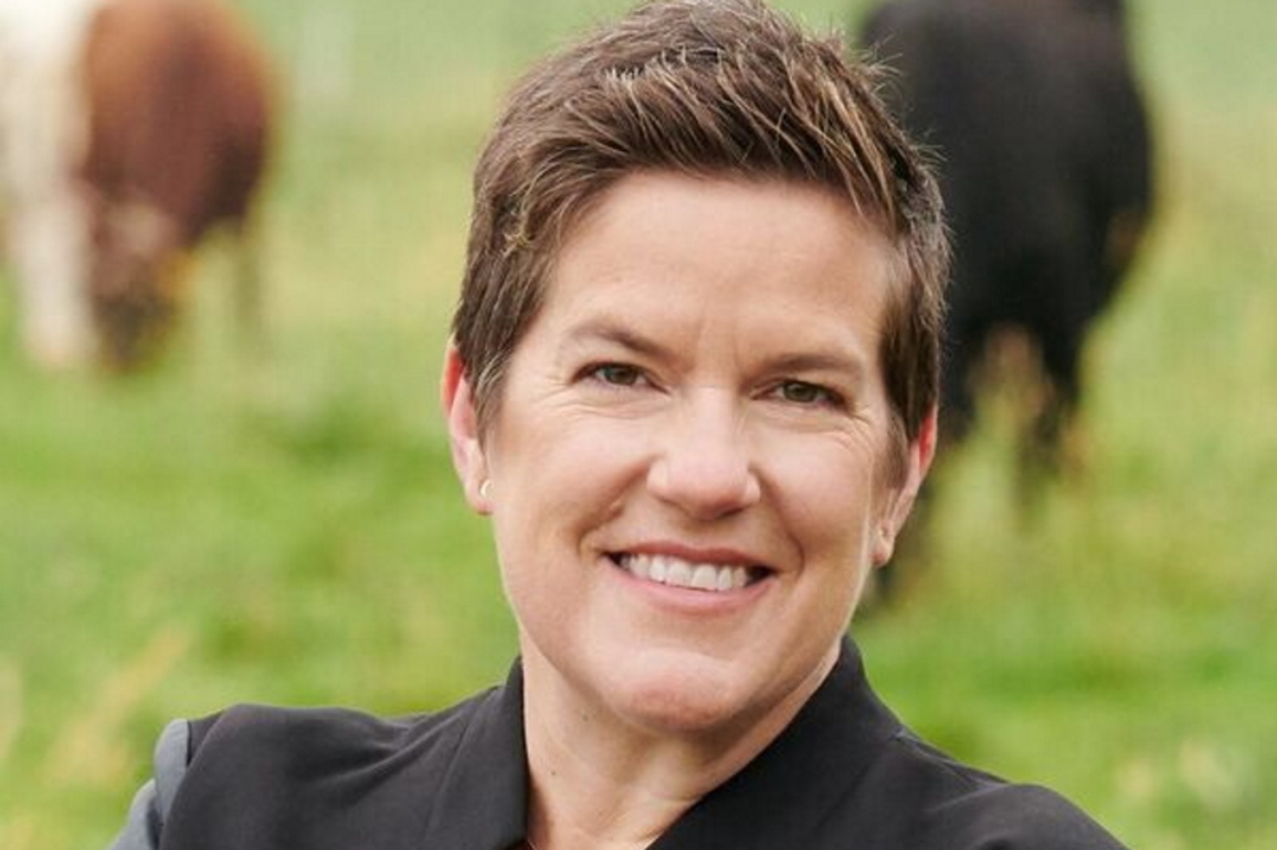 Wisconsin Economic Development Corporation May Scale Back Programs   Urban Milwaukee