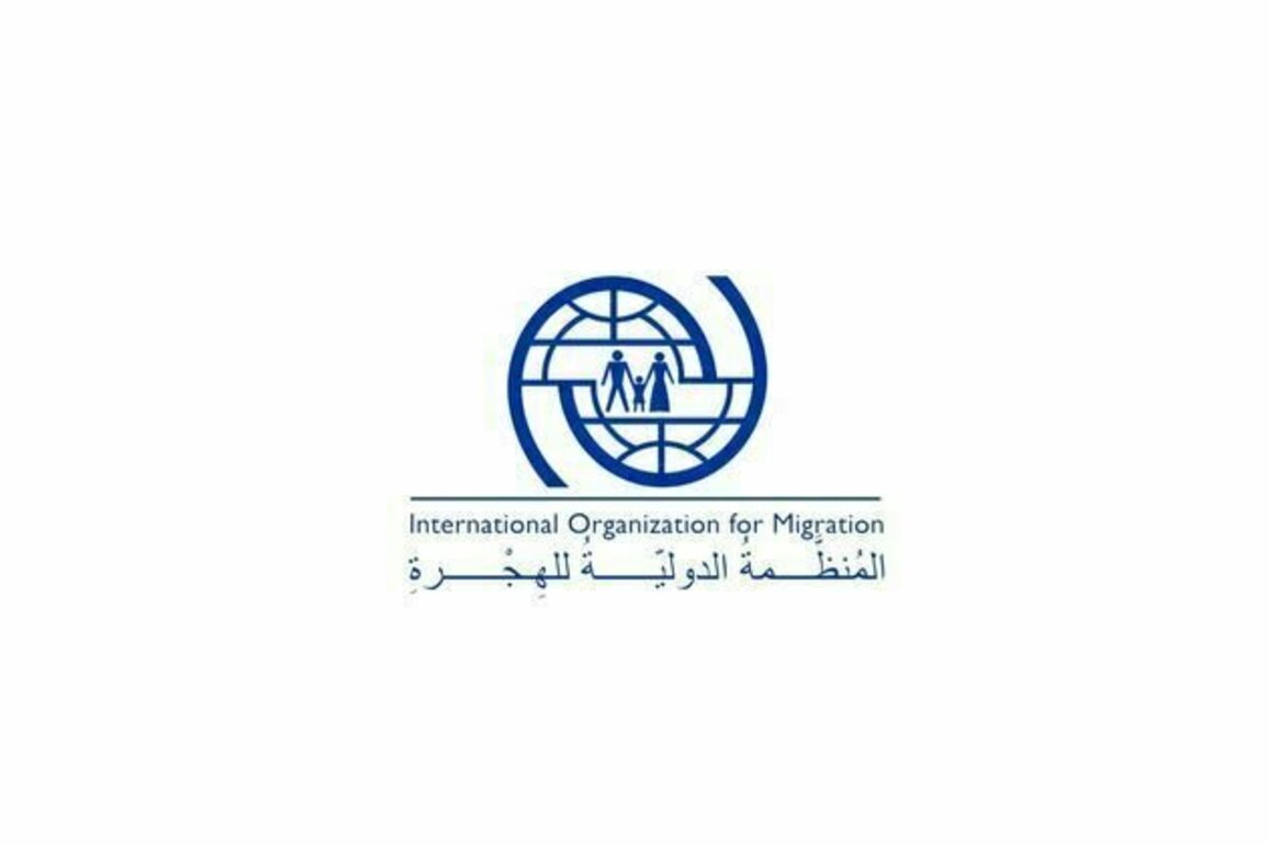 IOM saddened by loss of dozens of lives in migrant boat tragedy off Yemen