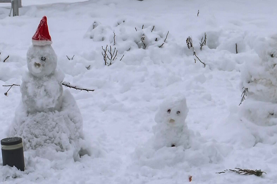 Tourists rejoice as Dalhousie receives first snowfall of the year
