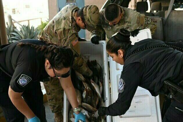 Arizona National Guard's Task Force SAFE Strengthens Border Security