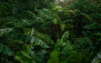 'Nature underpins everything': Government celebrates flurry of nature finance deals