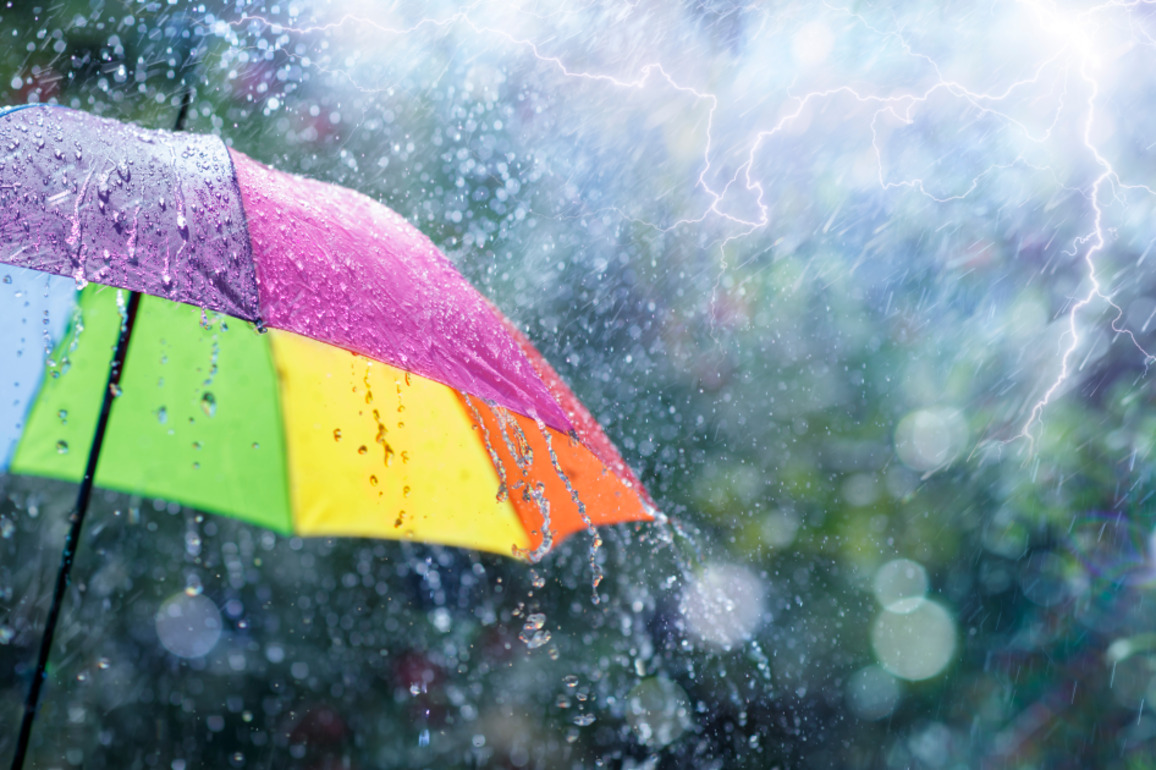 Tasman famers pin hopes on forecast rainfall