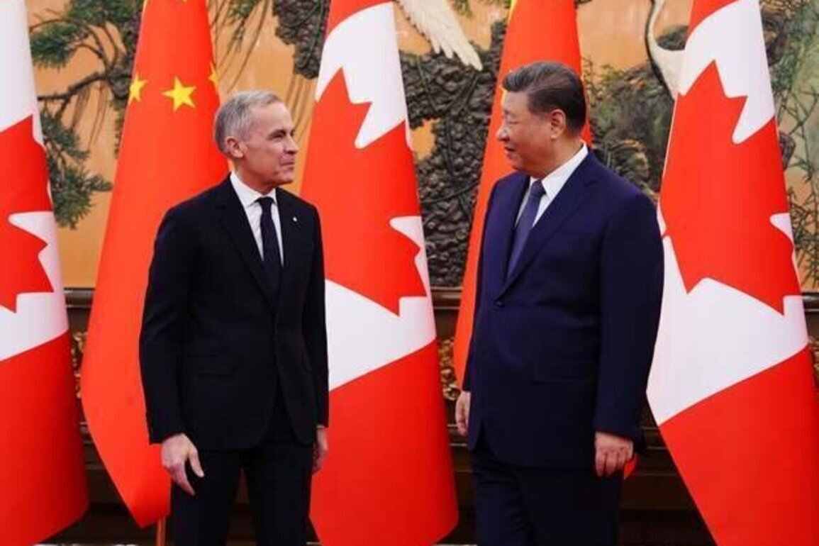 Canada Should Speak Out on Uyghur Forced Labor in China
