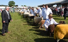 New attractions in place for Great Yorkshire Show