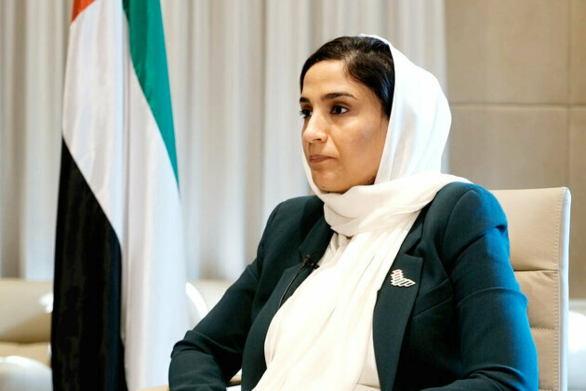 International community must shoulder its responsibilities to end Sudan's crisis: Ambassador to Netherlands