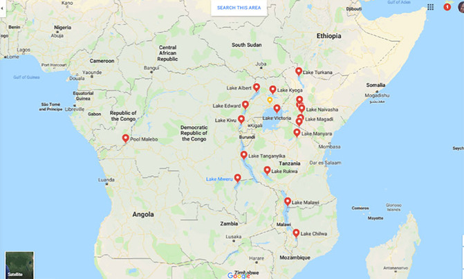 US names new envoy for Africa's Great Lakes US names new envoy for Africa's Great Lakes