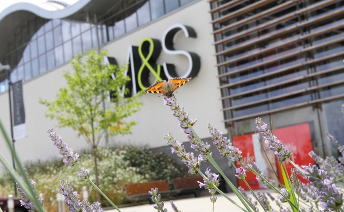 M&S first launched its Plan A strategy in 2007
