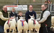 Skipton champion lambs sell for a record breaking £800/head