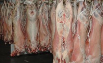 UK meat sector sustaining 'significant' financial losses by post-Brexit meat inspections