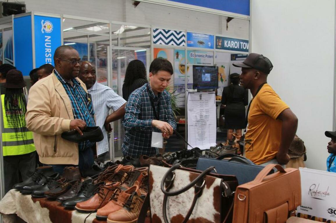 Chinese firms boost Zimbabwe's job market, say experts