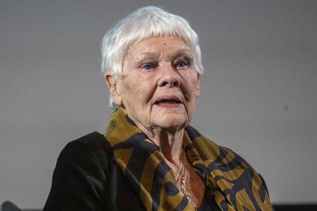 Dame Judi Dench backs calls to save Britain&#39;s native woodlands - Nature
