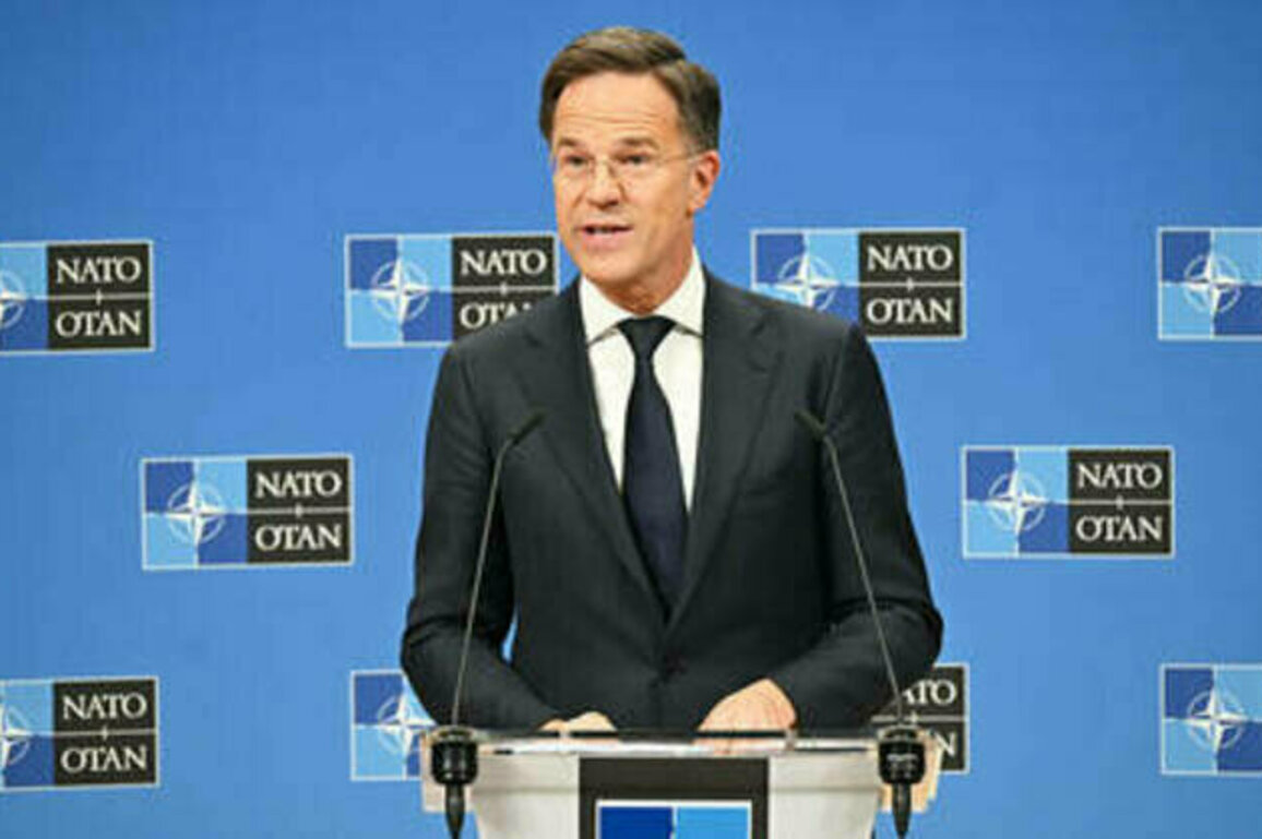 NATO not part of Ukraine peace talks - secretary general