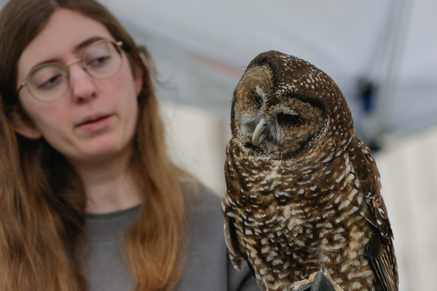 CANADA-DELTA-WILDLIFE REHABILITATION FACILITY-OPEN HOUSE EVENT