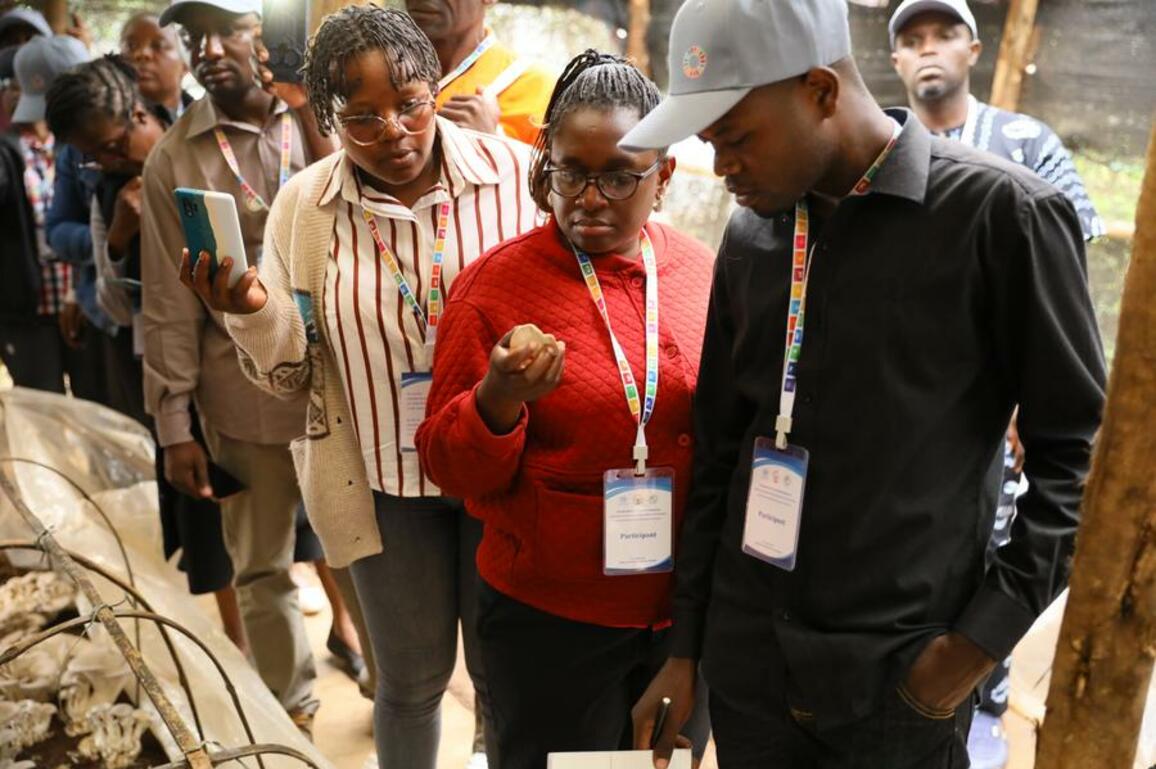 (Hello Africa) African experts spot potential of Juncao technology to boost livelihoods, sustainable agriculture