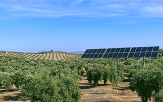 What can the UK learn from Spain breaking of the 'ruinous link' between gas and power prices?