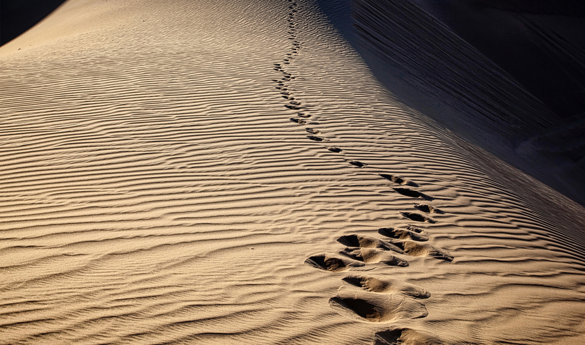 © Tim Roberts Photography/Shutterstock