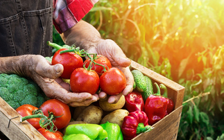 Study reveals how interest in sustainable diets has stalled