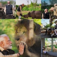 Vantara wildlife centre vibrant example of centuries-old ethos to protect those we share planet with: PM Modi