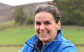 In your field: Kate Rowell - "Huge respect to all those farming in remote areas and thank you for welcoming us soft mainlanders when we visit"