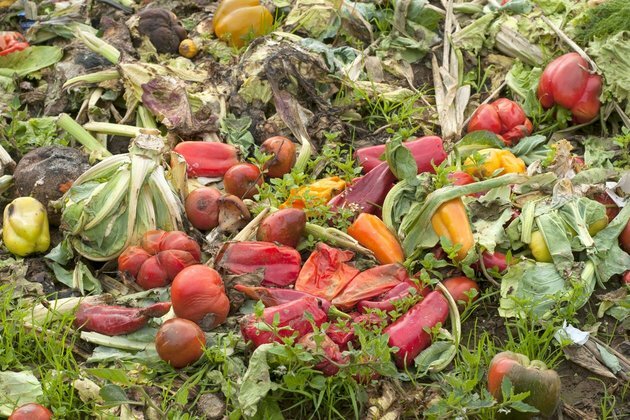 Food waste: using sustainable innovation to cut down what we throw away