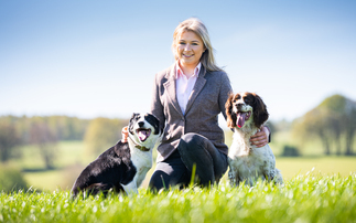 "Farming is my life": Young stockwoman Katie Aiken carving out a career in livestock