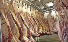 Argentina bans beef exports