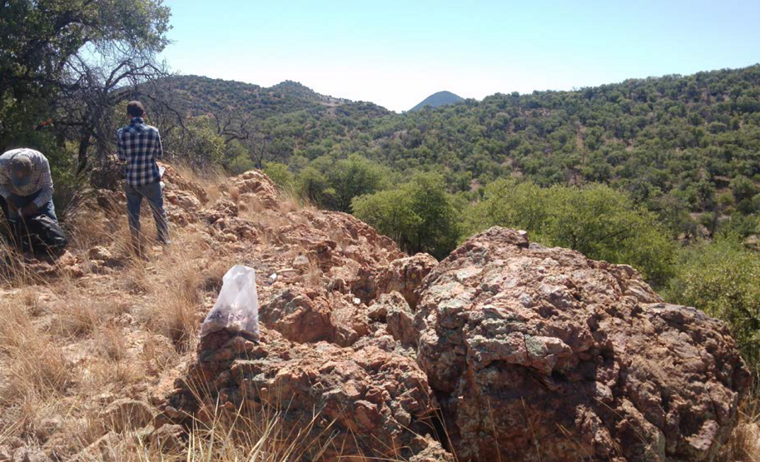 Alacrán in Cordoba, Colombia