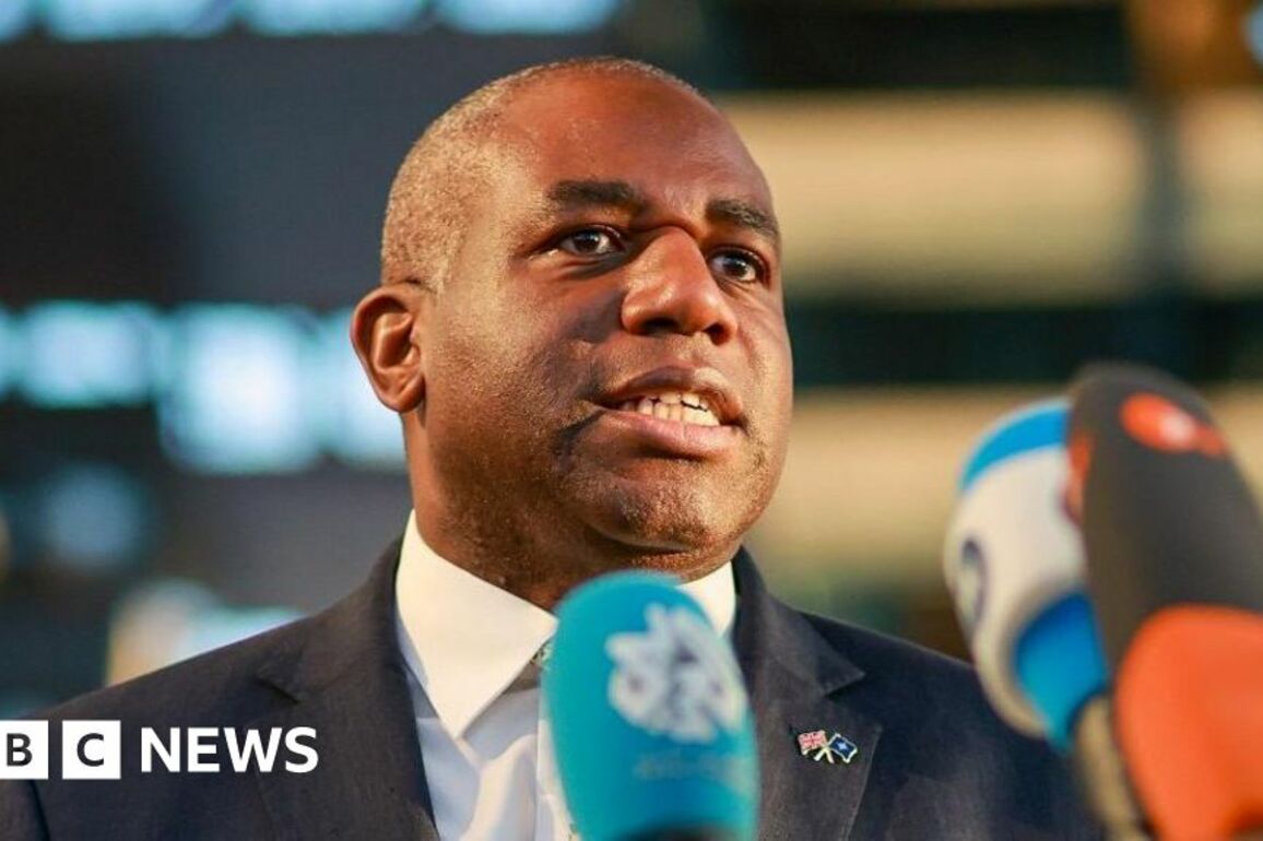 No 10 rejects David Lammy suggestion of US protectionism