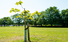 ECIU: UK to miss 2030 tree planting target by an area the size of the Isle of Wight