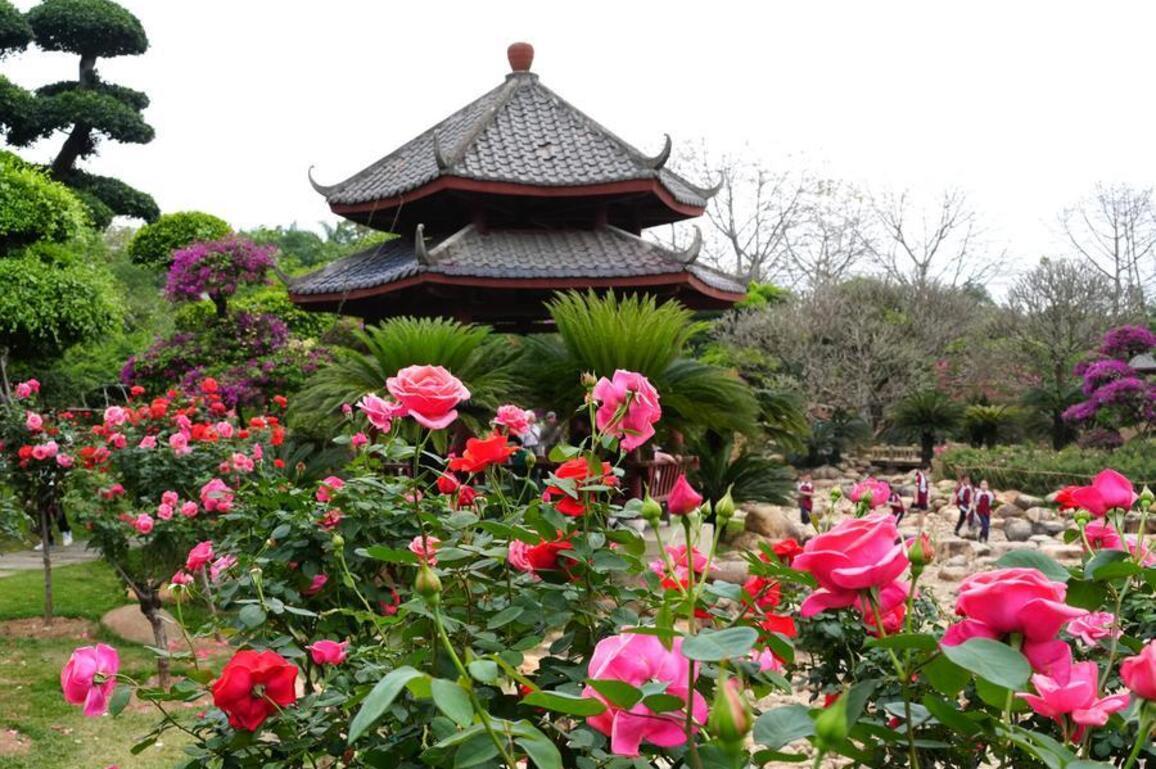 Southern frontier region's bid to become China's mini-drama export hub