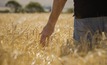 Dry July shoots farmer's confidence